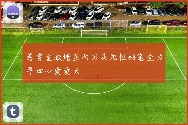 悬赏金激增至两万美元拉姆塞全力寻回心爱爱犬