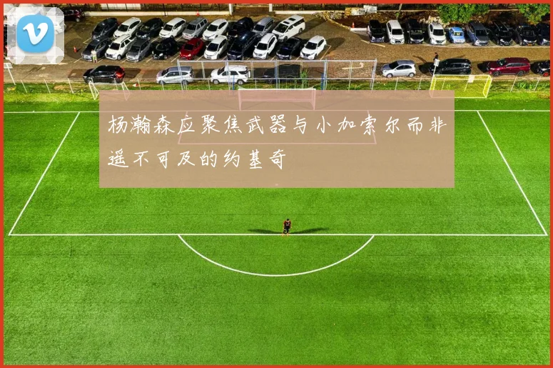 杨瀚森应聚焦武器与小加索尔而非遥不可及的约基奇