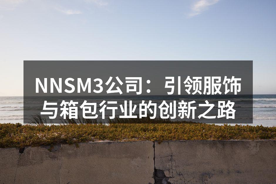 NNSM3公司：引领服饰与箱包行业的创新