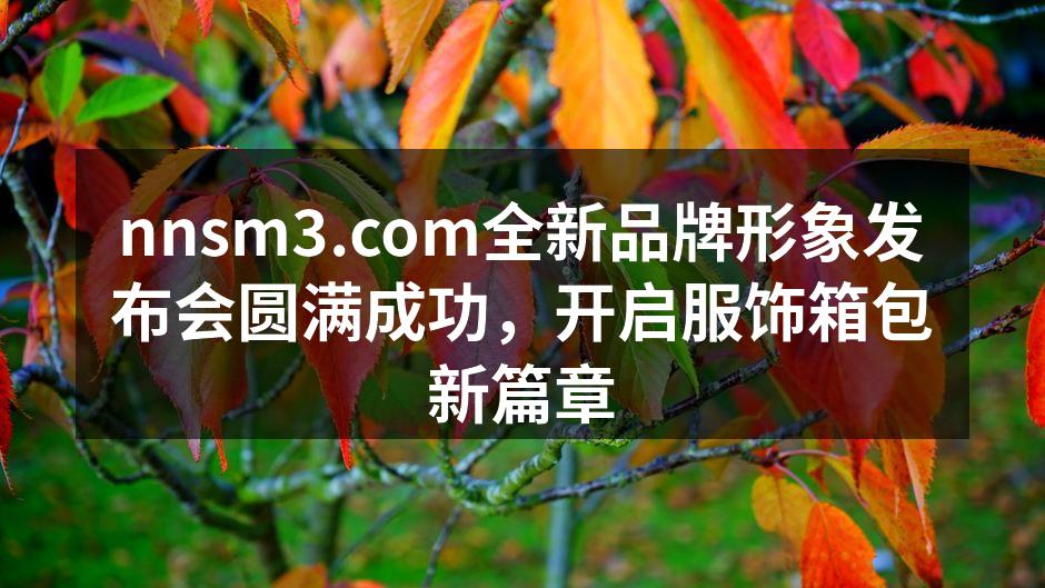 发布会现场热闹非凡